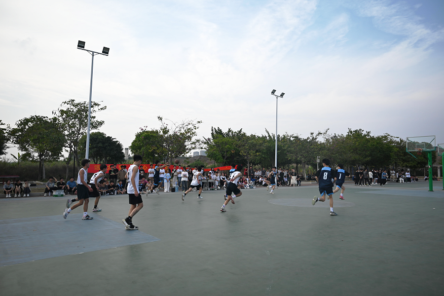 DSC_1246.png